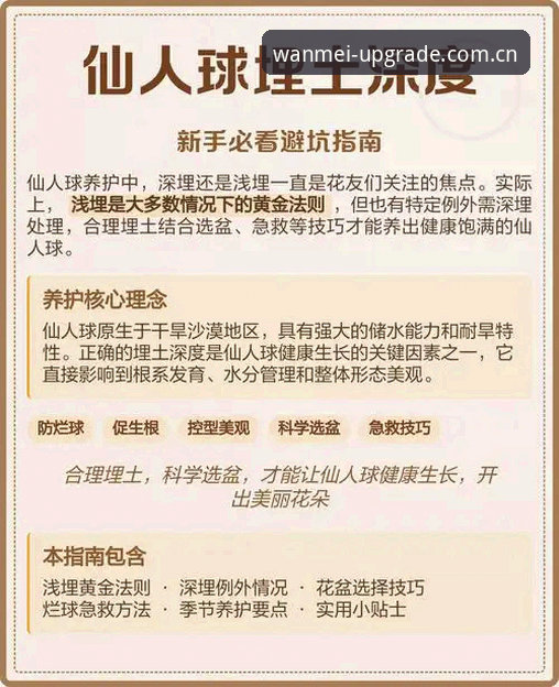 深度揭秘完美体育登录入口：新手必看的避坑指南与实战解析